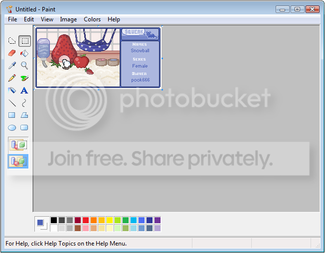 User Image